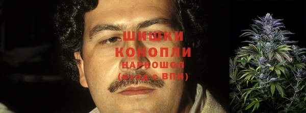 МДПВ Мегион