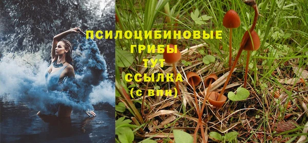 спайс Майский
