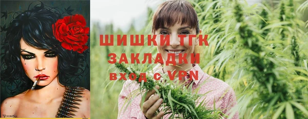 дмт Медногорск