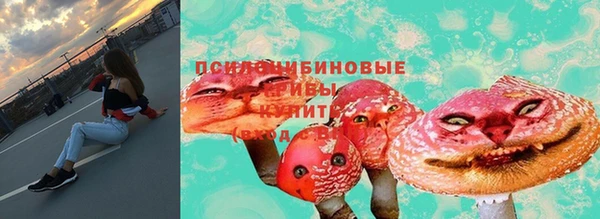 МДПВ Мегион