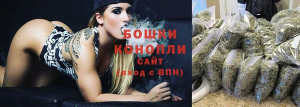 дмт Медногорск
