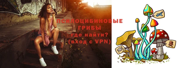 МДПВ Мегион
