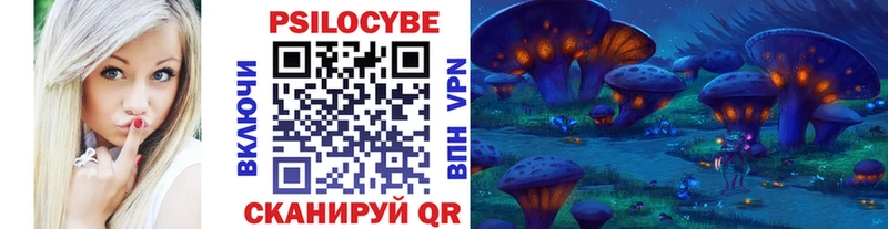 Купить  Шебекино  Галлюциногенные грибы Psilocybine cubensis 